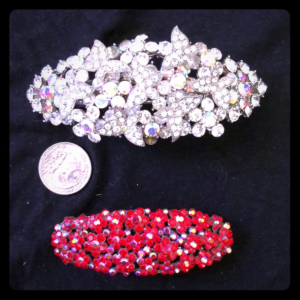 2 GORGEOUS hair barrettes
